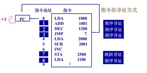 計(jì)算機(jī)指令系統(tǒng)中的數(shù)據(jù)處理